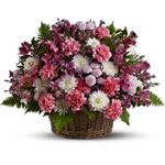 Garden Basket Blooms - Peace Dale