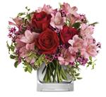 - Make her blush with the beautifully blushing blooms of this romantic arrangement. Arranged inside a glass cube that catches th