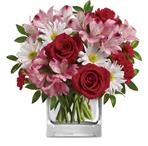 - Fresh and fabulous, this stylish blend of white daisies, red roses, pink alstroemeria will brighten any occasion. Arranged ins