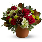 Give all the charm of a country side Christmas this year with a rustic mix of lush red roses amidst chartreuse and burgundy bloo