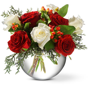 A mix of lush ruby and pure white roses, mingled with glossy red berries and greenery, create a classic Christmas arrangement. A