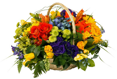 A beautiful vibrant basket of striking colours in a modern design for any occasion