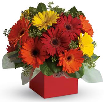 Brighten their day with this exuberant burst of beauty!