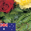 Send a Flower Arrangement to Australia