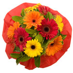 Send Fresh Flowers