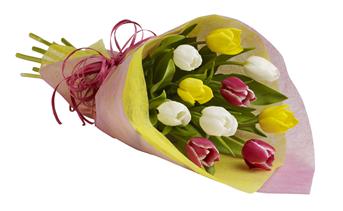Give the gift of spring! Delight their day with a colourful bunch of tulips available in many colours of the season.