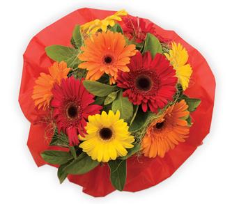 A bright and funky gerbera bouquet is a sure way to brighten