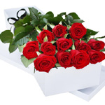 12 Roses in A Presentation Box