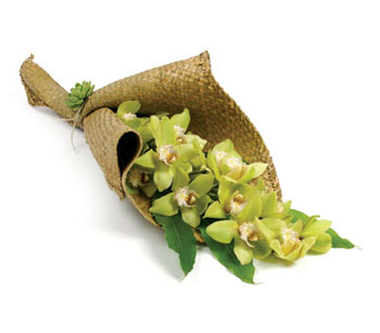 Cymbidium Orchid Stem