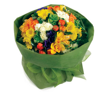 Chunky Posy - Fielding