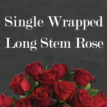 Single Long Red Rose