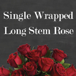 Single Long Red Rose